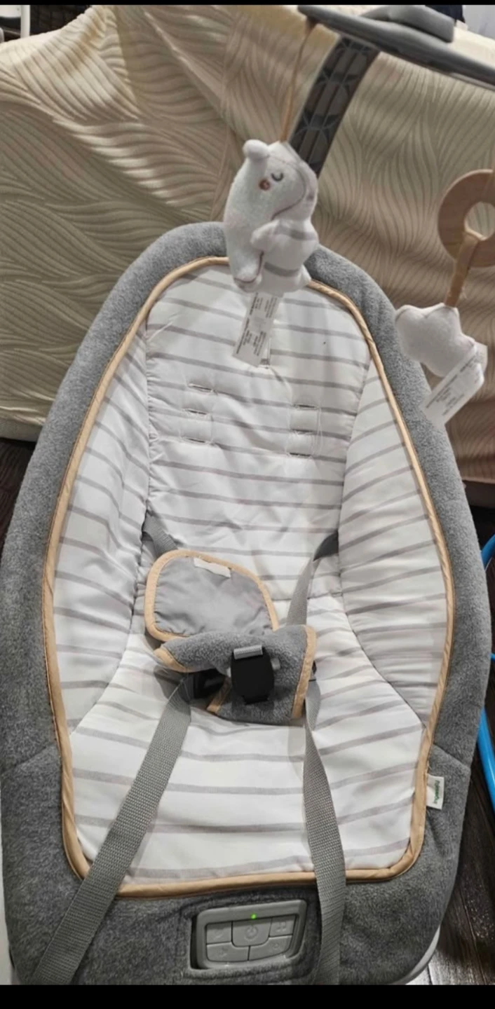 Ingenuity Baby Bouncer