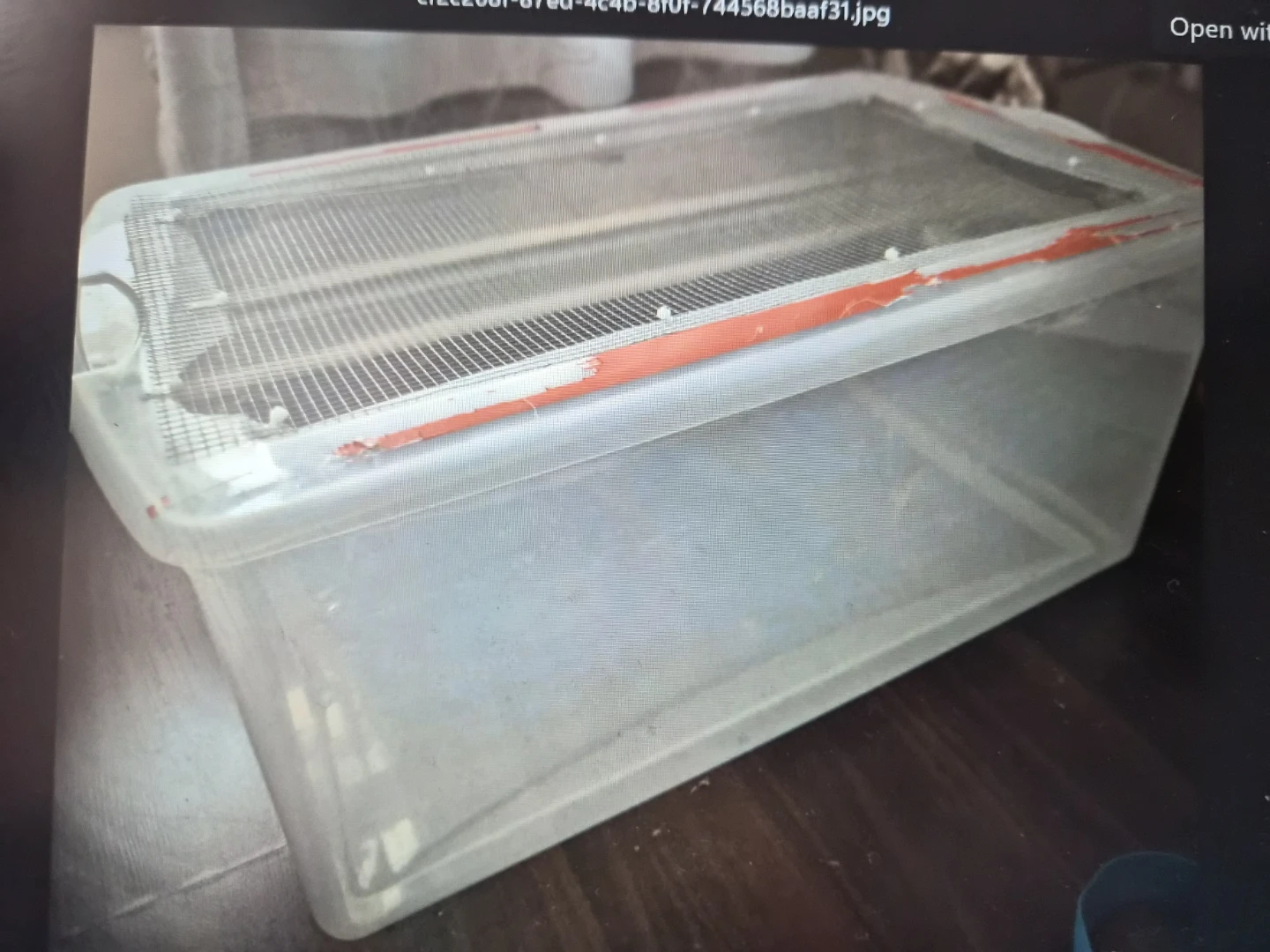 Small pet cage for temporary use with mesh lid