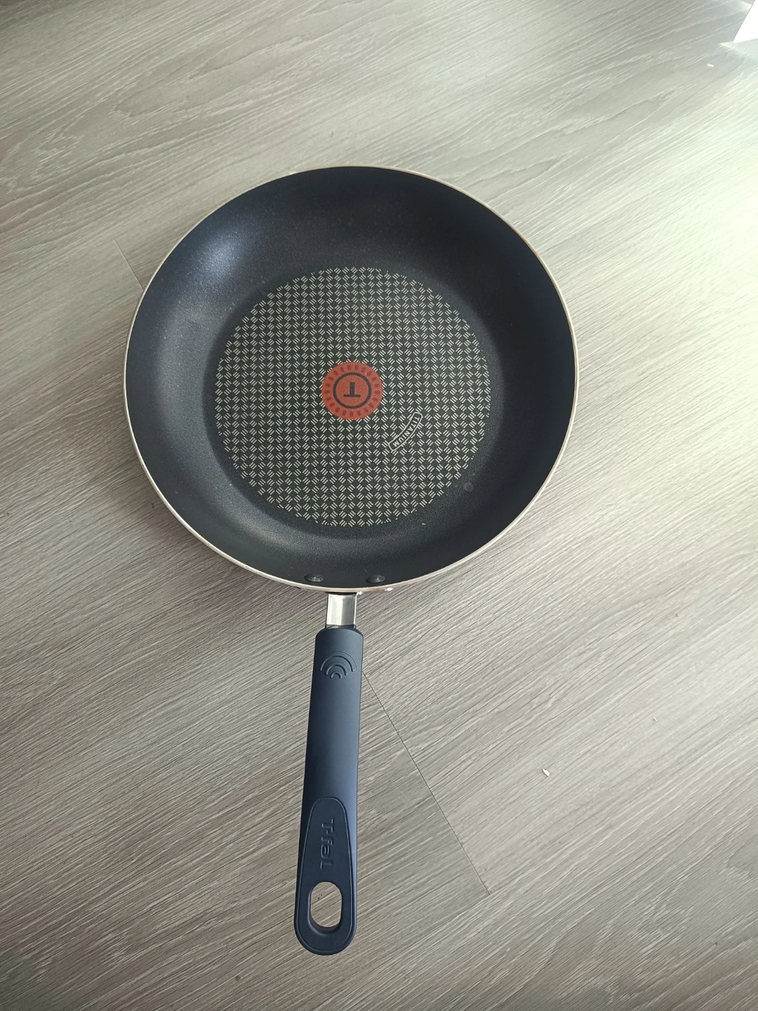 T-fal Resistal Technology Frying Pan