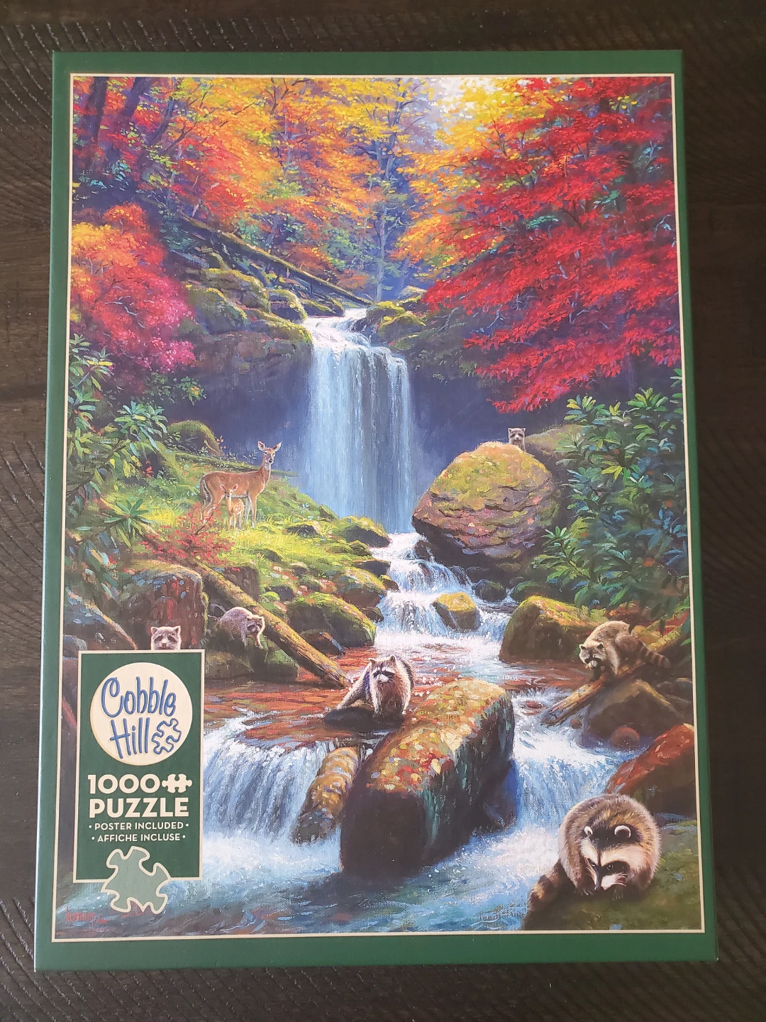 Cobble Hill 1000-Piece Nature Waterfall Puzzle 🏈