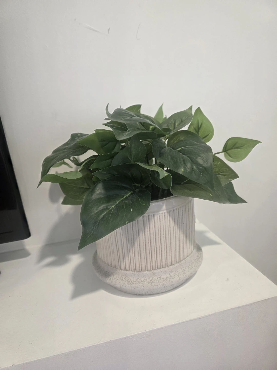 Artificial Pothos Plant in Textured Pot