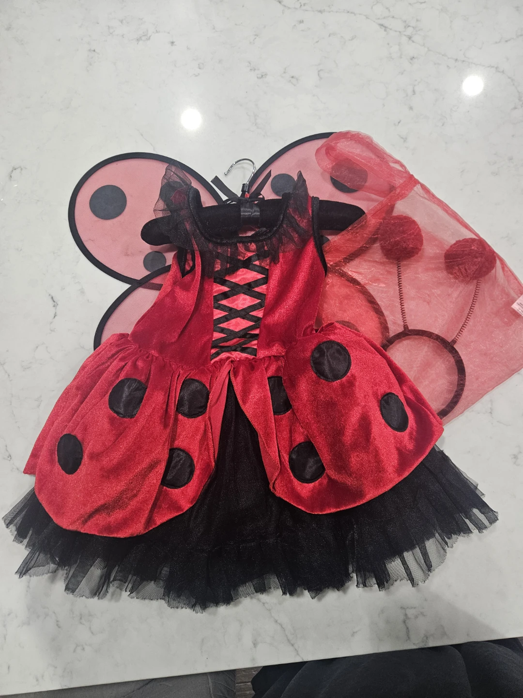Fairy Dust Ladybug Costume with Wings and Antennae