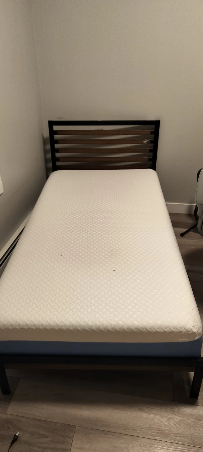 Zinus twin bed frame and mattress