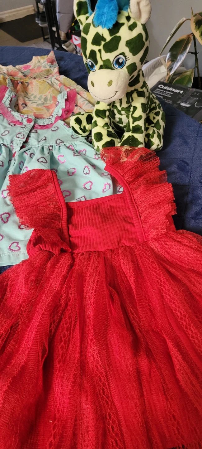 Toddler Girl Clothing and Plush Toy Bundle - photo 5