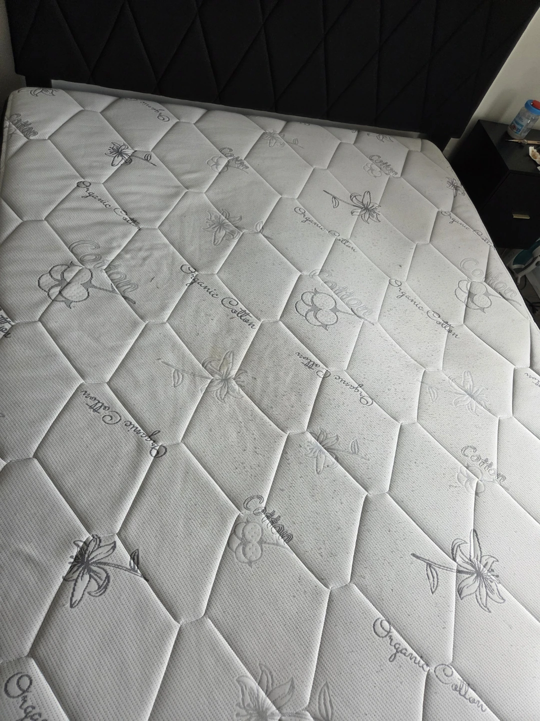 Free Queen Mattress - photo 4