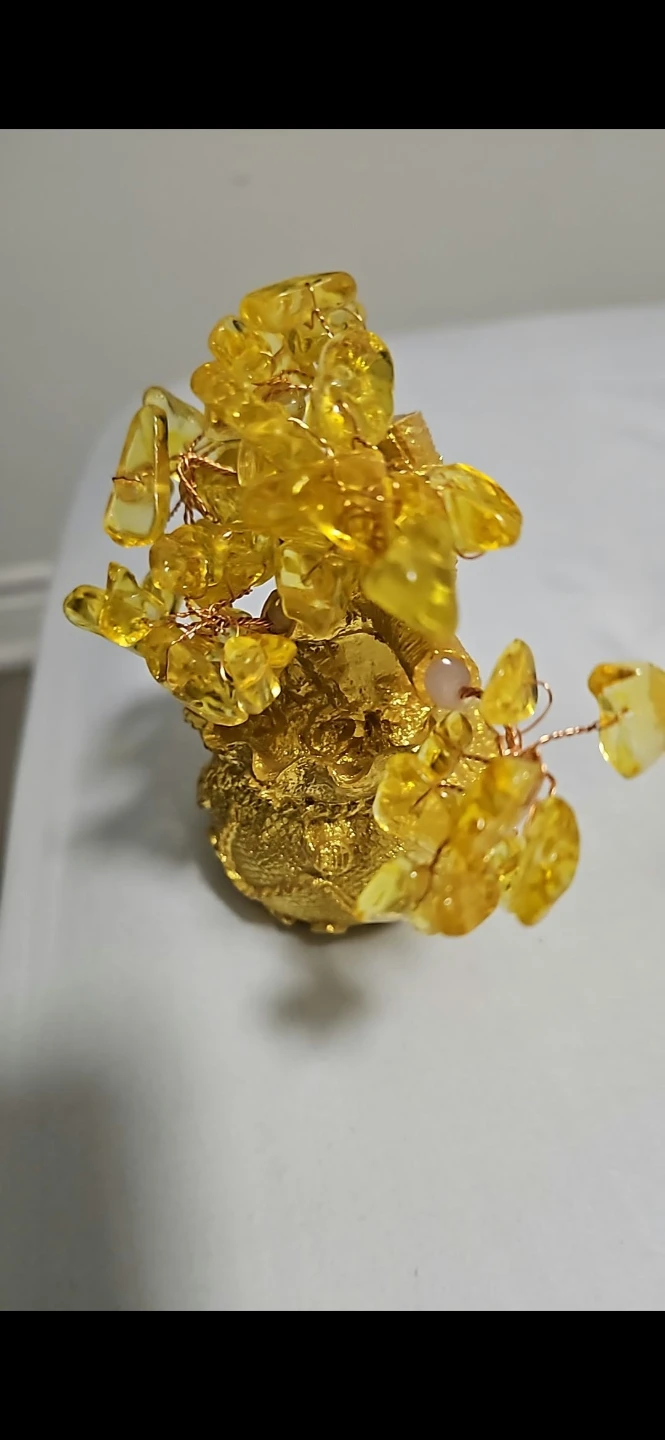 Yellow  money tree 🏈