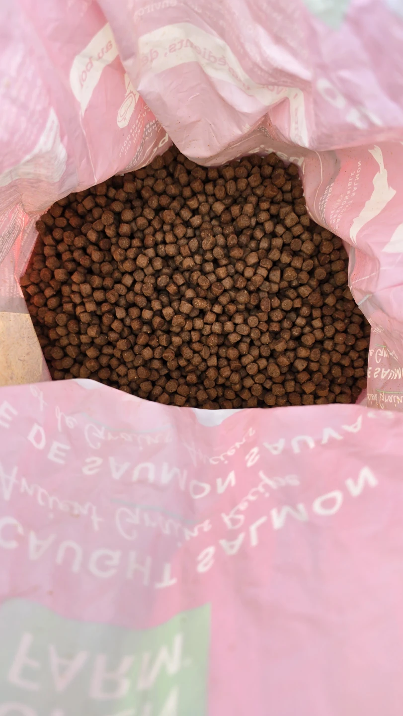 FREE - Dog Food - photo 2