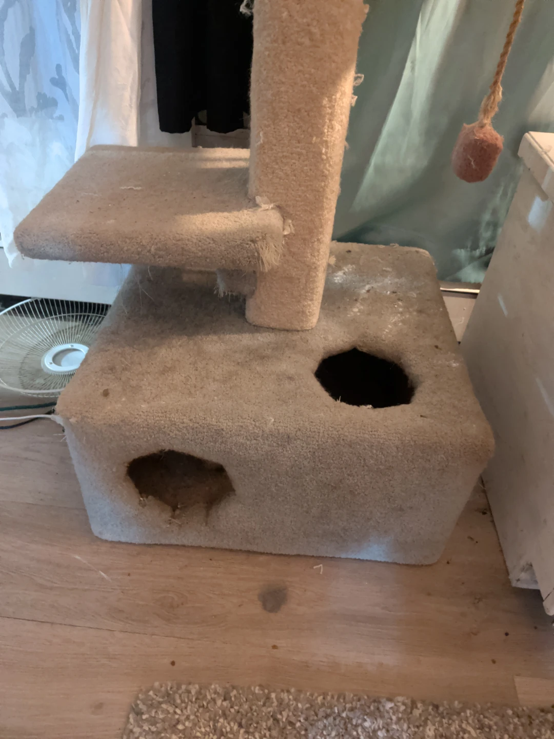 Beige Carpeted Cat Tree - photo 4