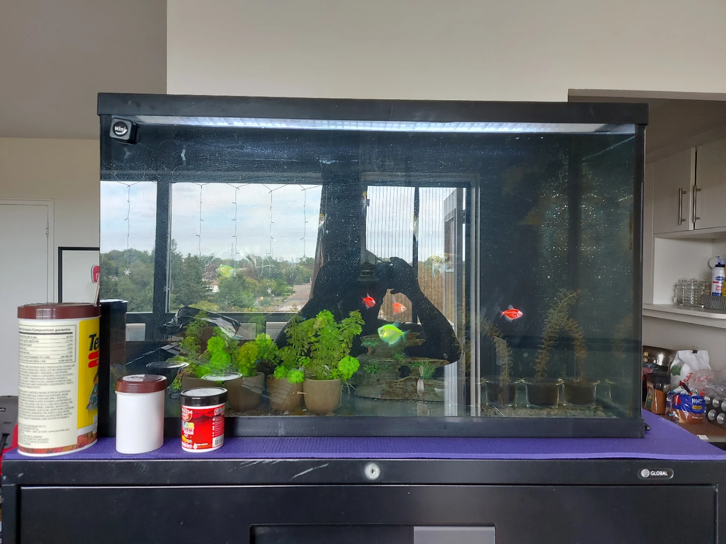 Glass Aquarium Tank
