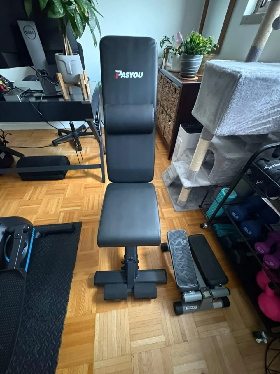 Pasyou Adjustable Weight Bench for sale