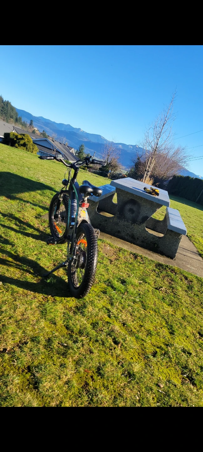 GYROCOPTERS electric bike - photo 2