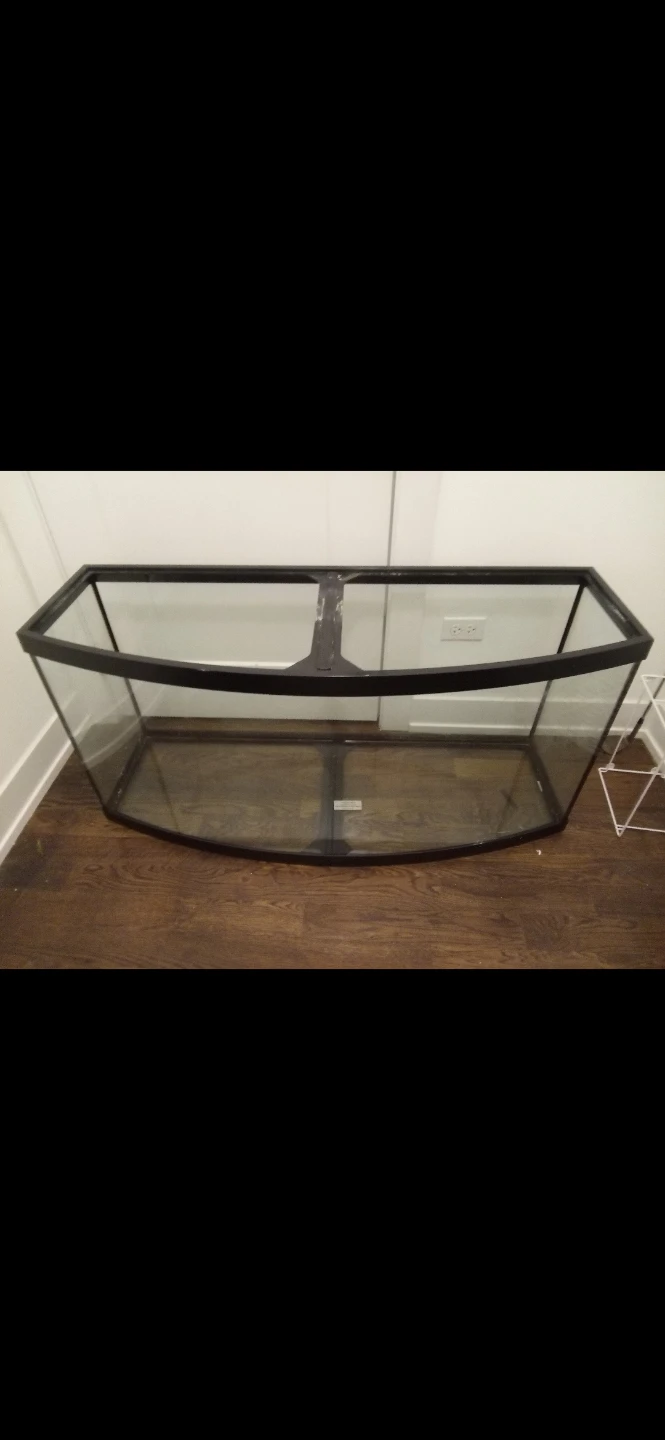🏈Bowfront aquarium Tank Display