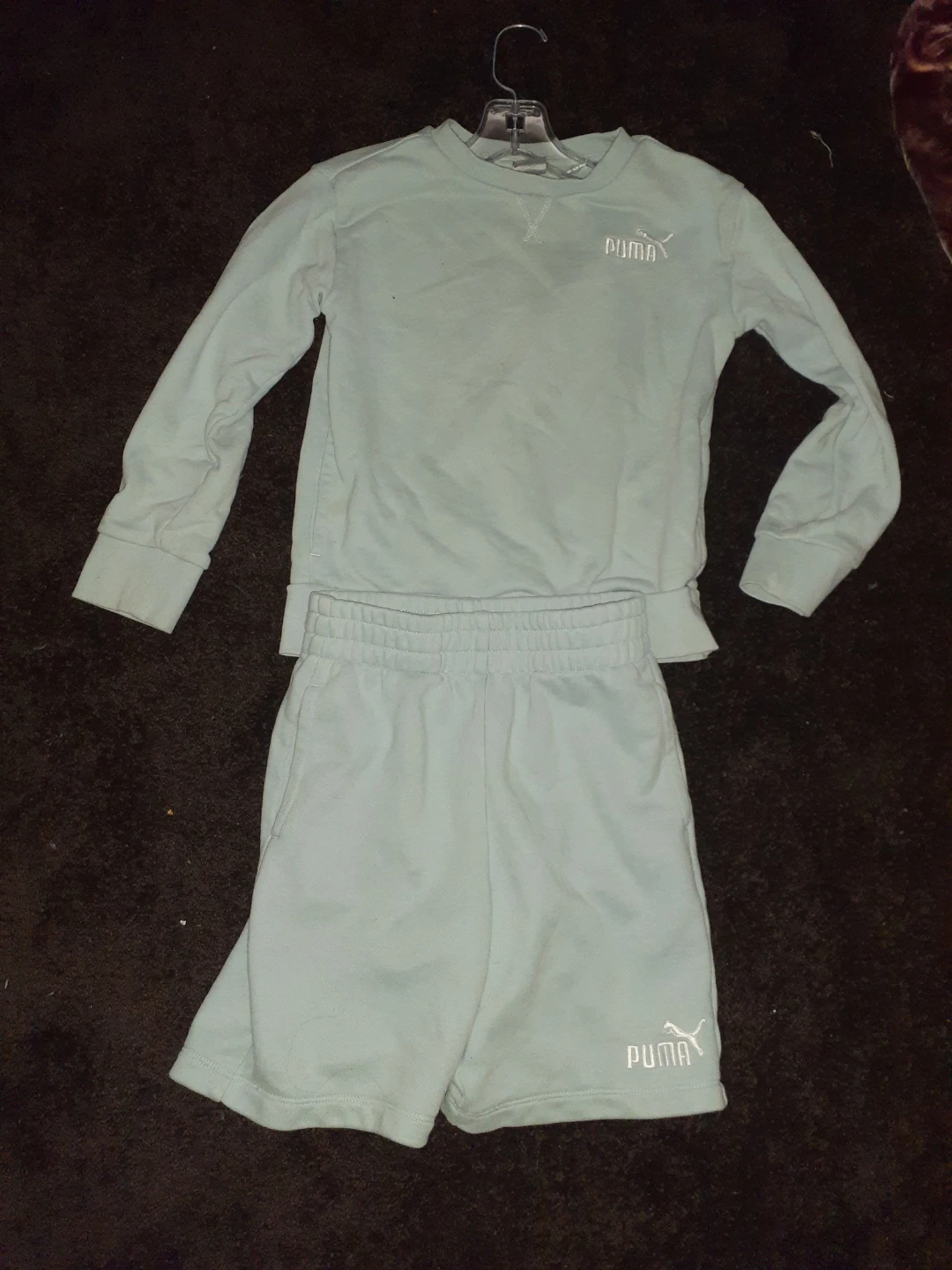 Puma Kids Long Sleeve and Shorts Set