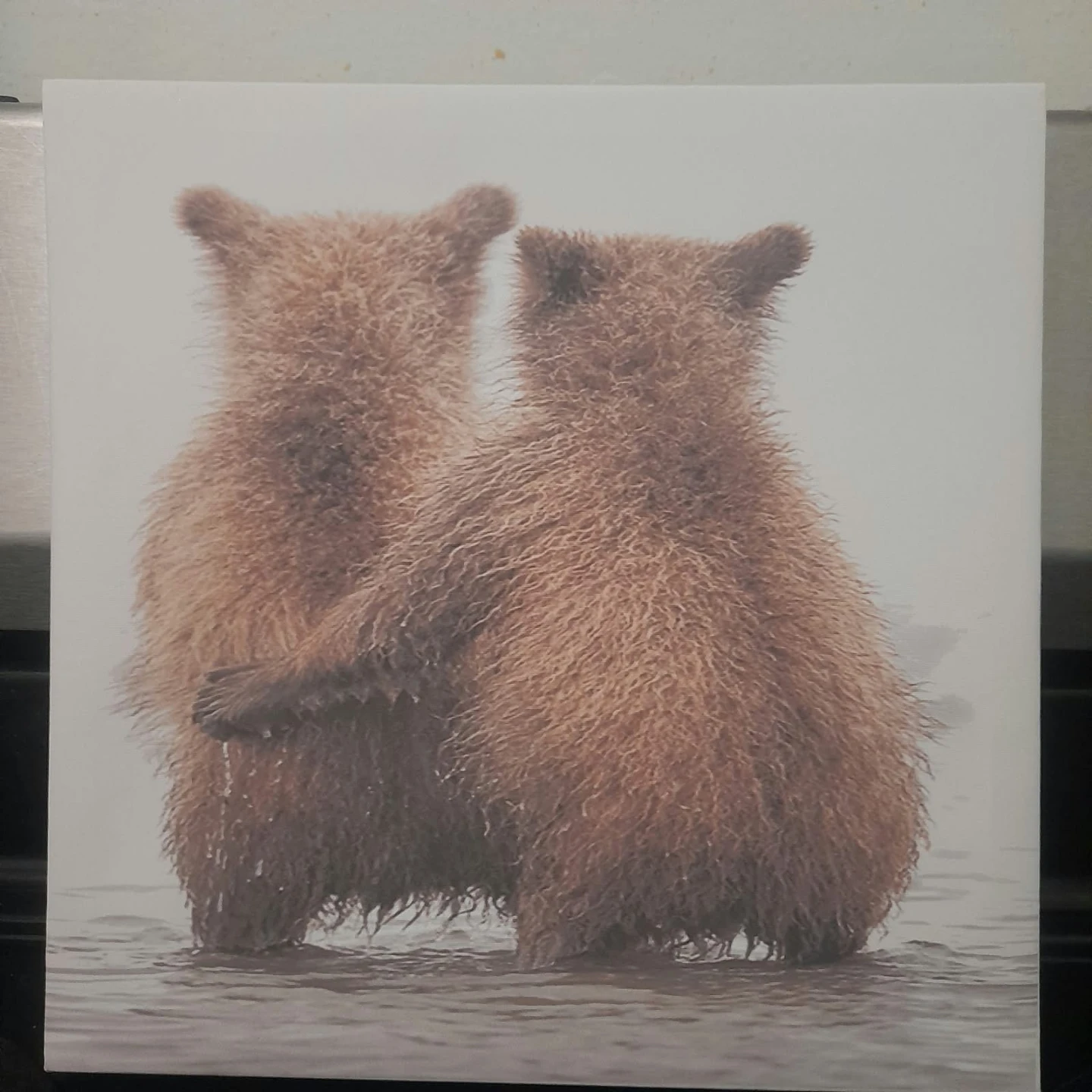 Set of 6 Animal Canvas Wall Art Prints 🏈 - photo 5