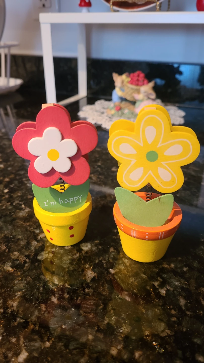 Two Decorative Flower Pot Memo Clips