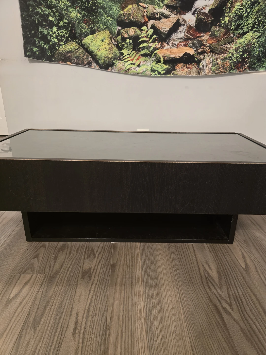 Dark Wood Coffee Table with Glass Top - photo 3