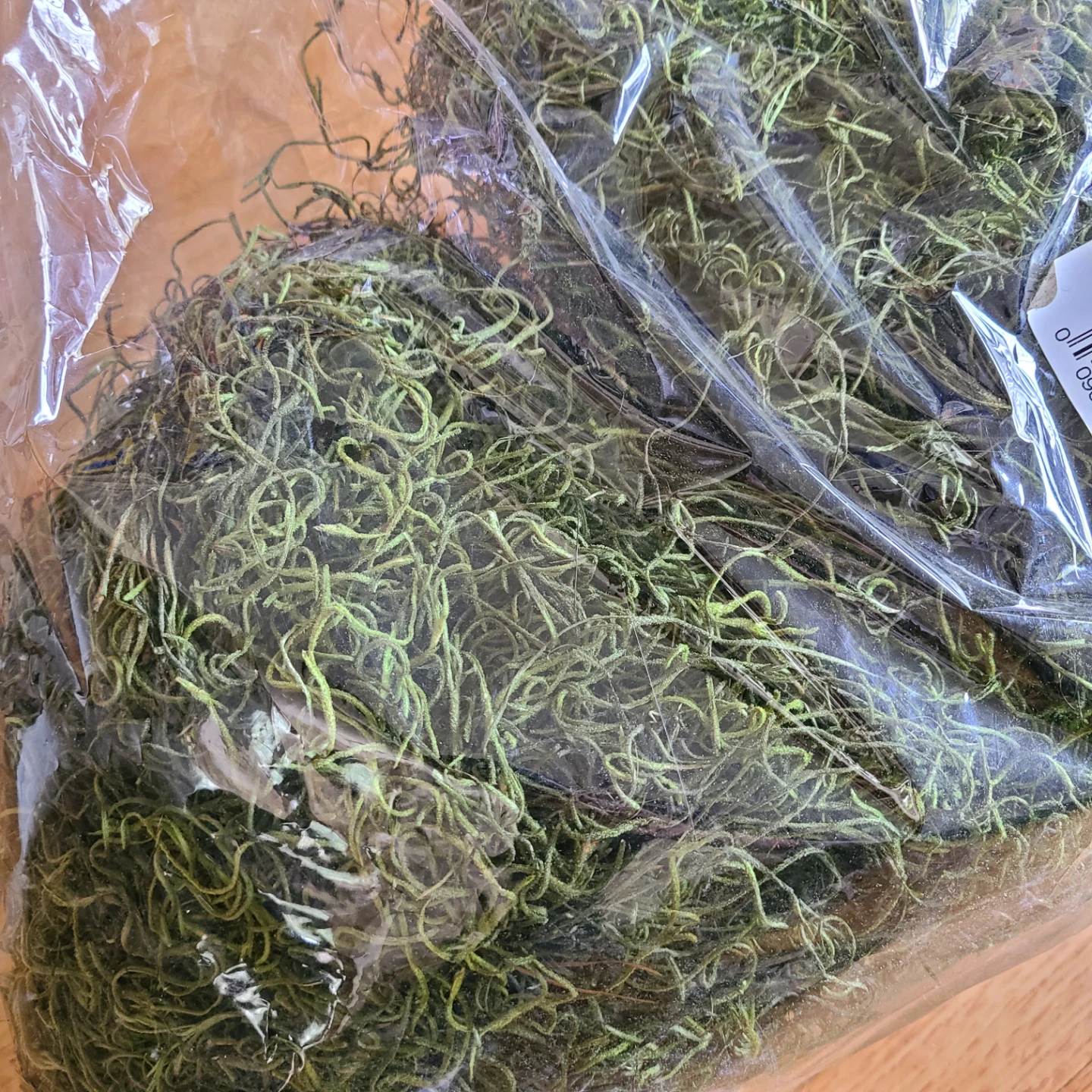 1 lb Bag of Green Spanish Moss - photo 3