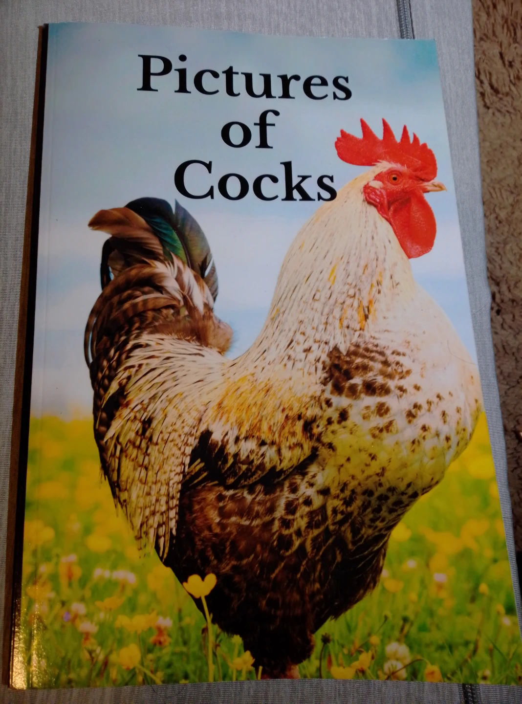 Pictures of Cocks Book