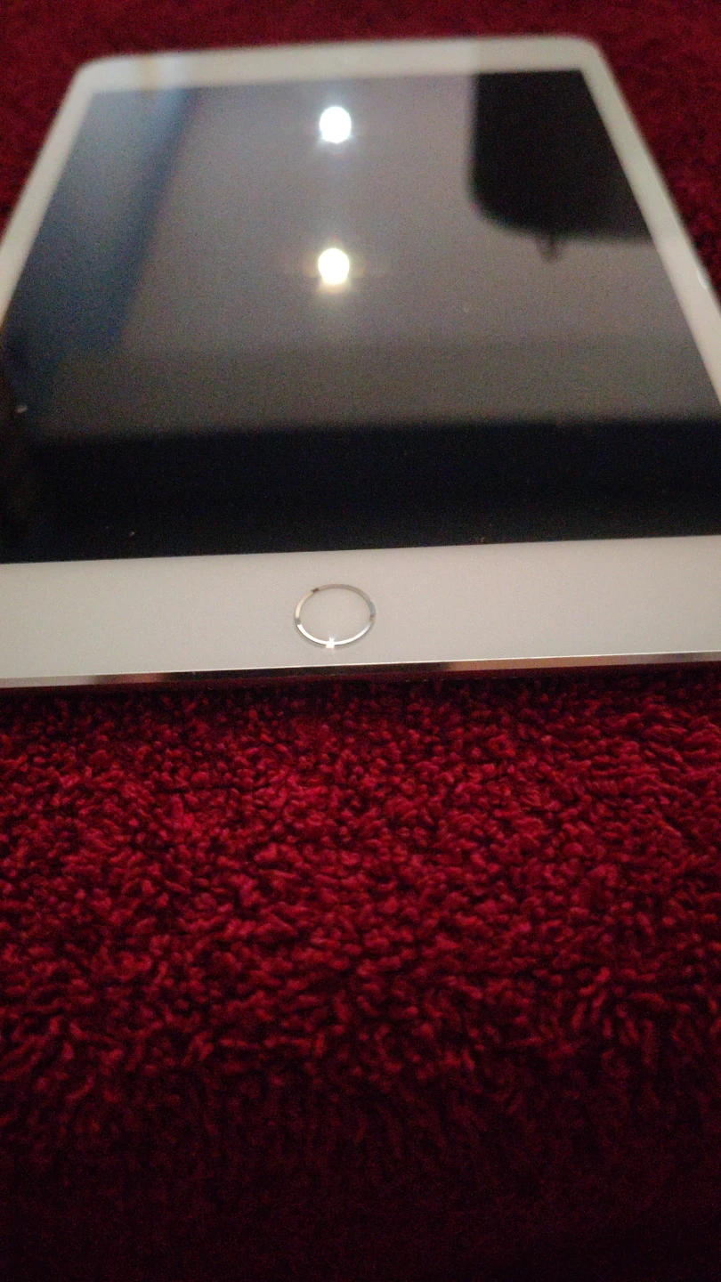 Apple iPad mini