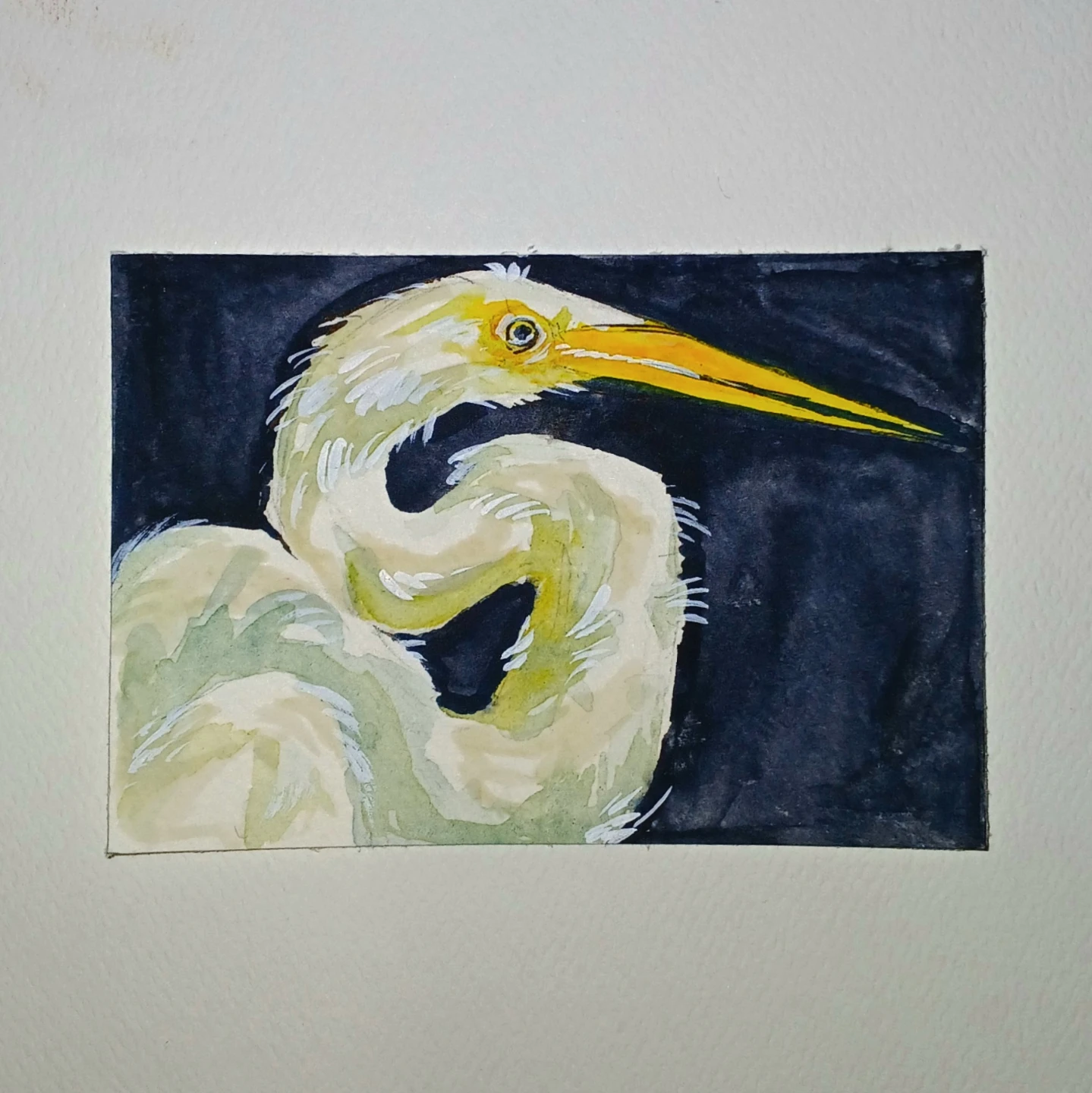 KindaCryptic Watercolor ACEO Painting of an Egret