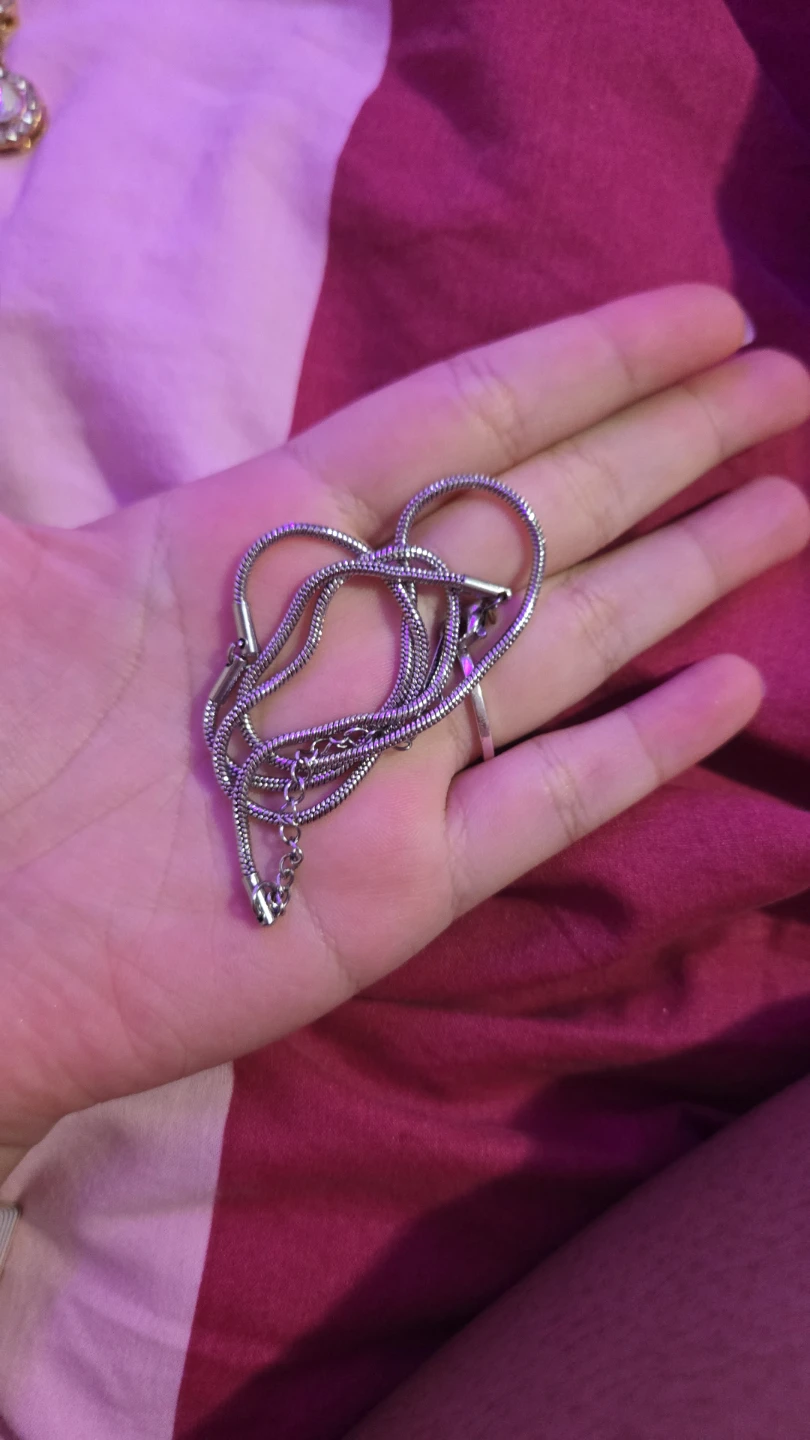 Stainless steel snake chain necklace
