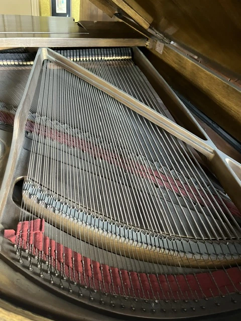 Free Baby Grand Piano - photo 5