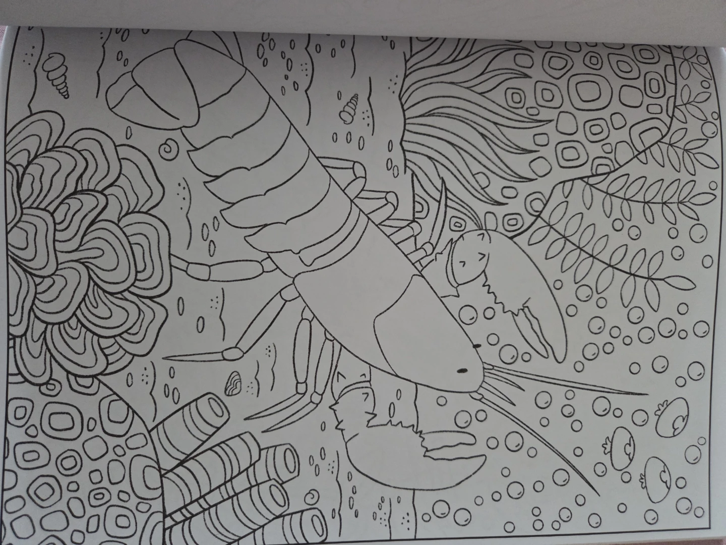 Large Coloring Book 107pages - photo 4