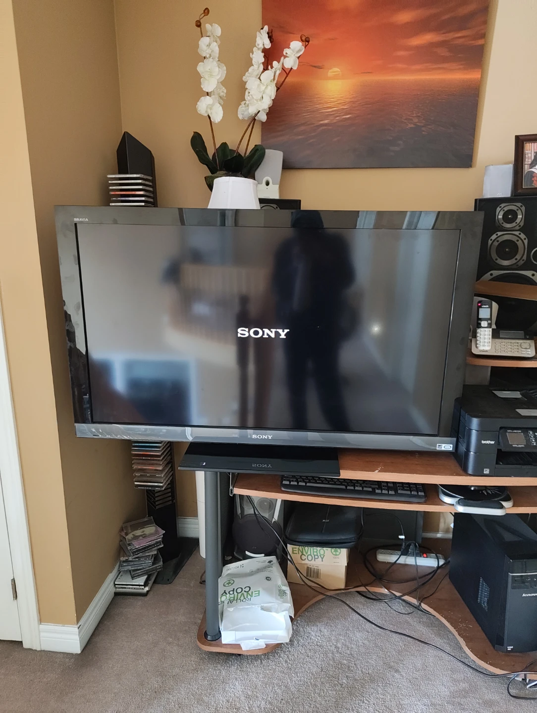 Sony Bravia 46-inch LCD TV