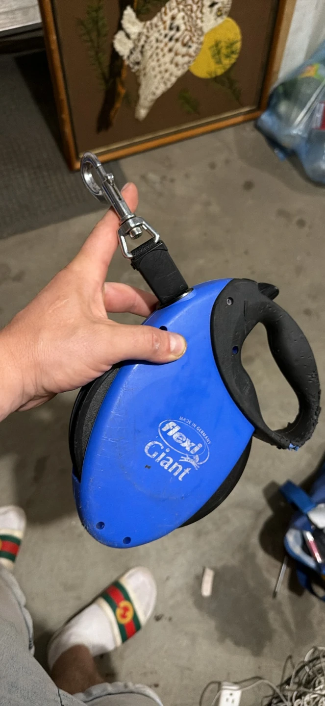 Flexi Giant Retractable Dog Leash Blue