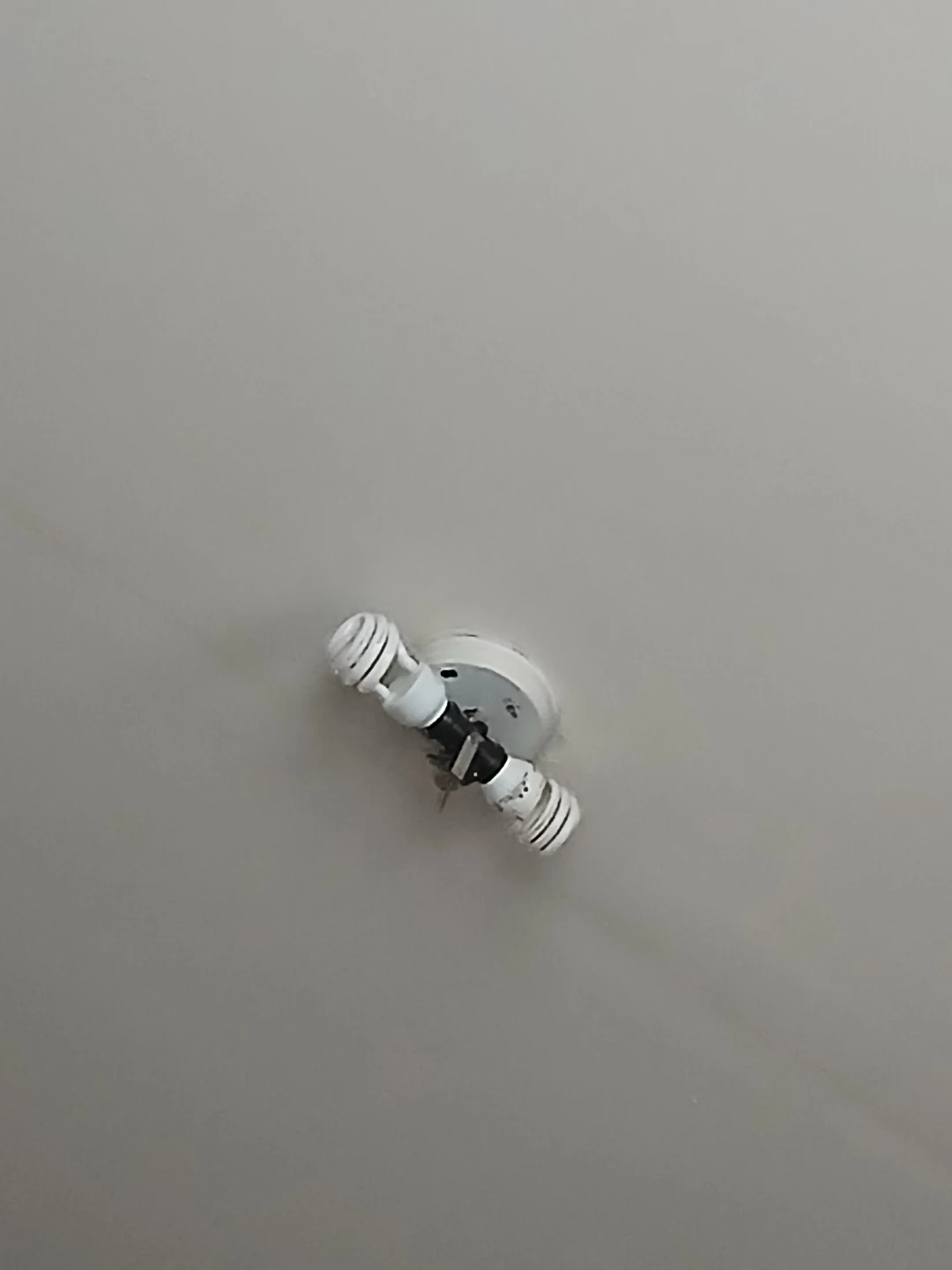 Dual Light Socket Ceiling Fixture🏈
