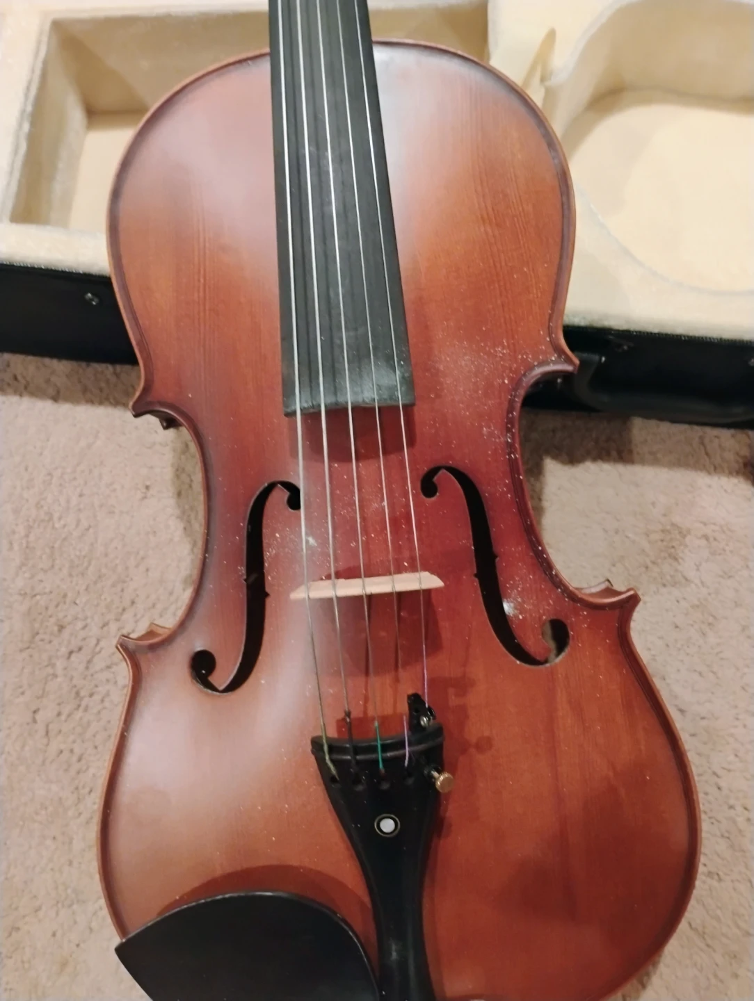 Hans Wagner Viola - photo 3