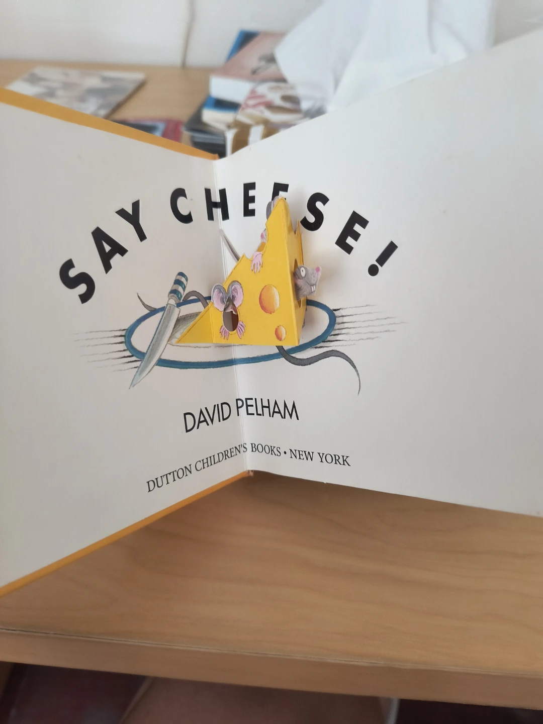 Say Cheese! by David Pelham Pop-up Book - photo 4
