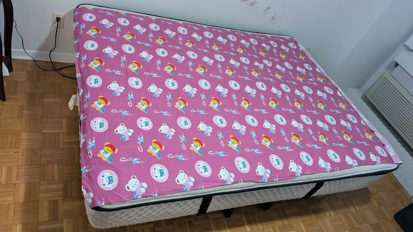 Sealy Platinum Posturepedic Mattress