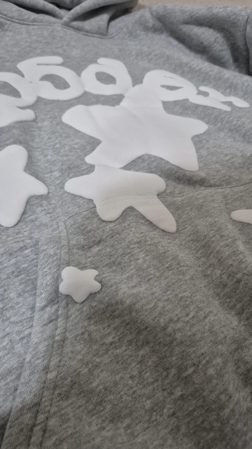 Spider Worldwide Hoodie Grey - photo 4