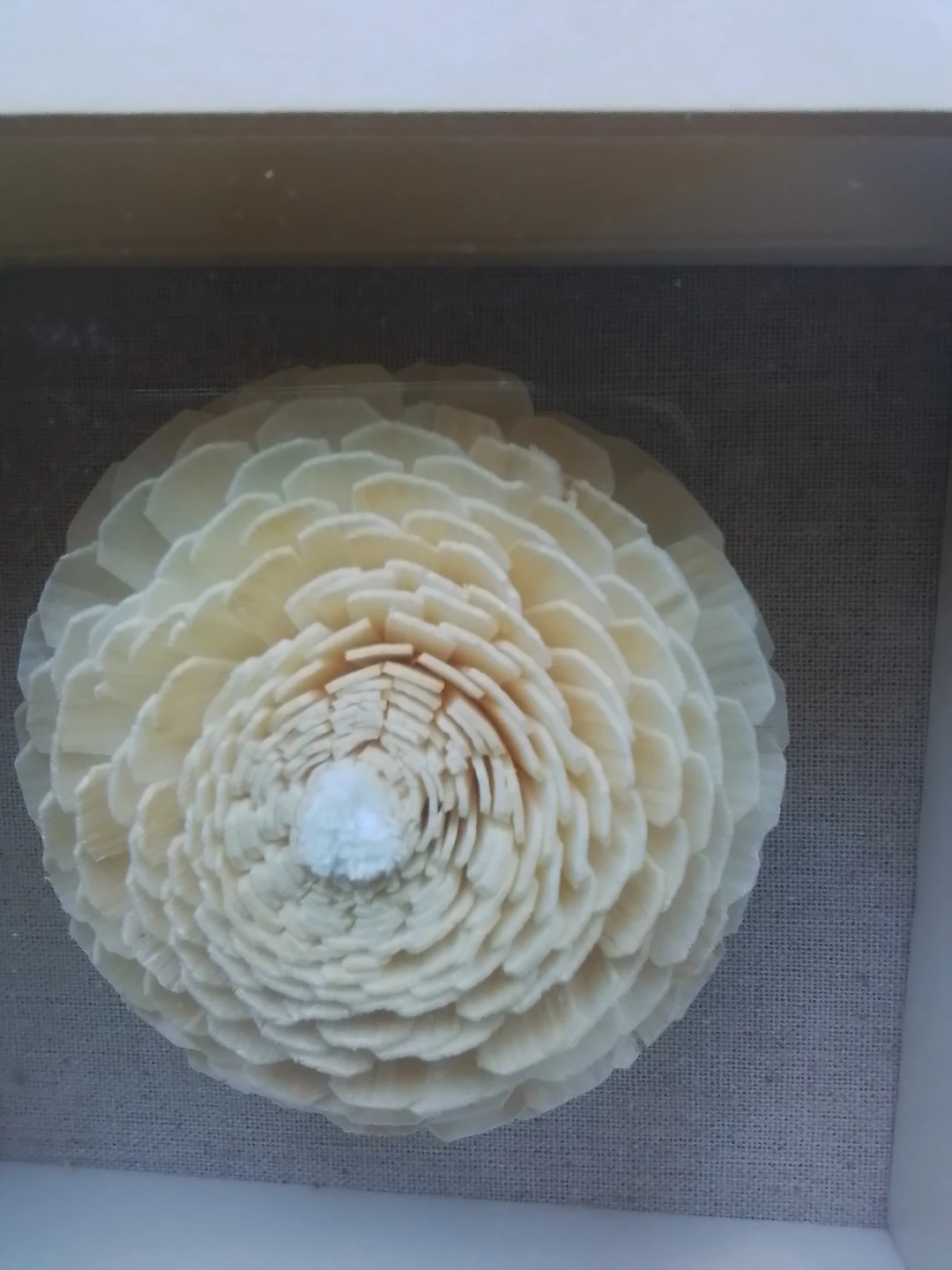 19" 3D Sola Wood Floral Shadow Box Wall Art - photo 4
