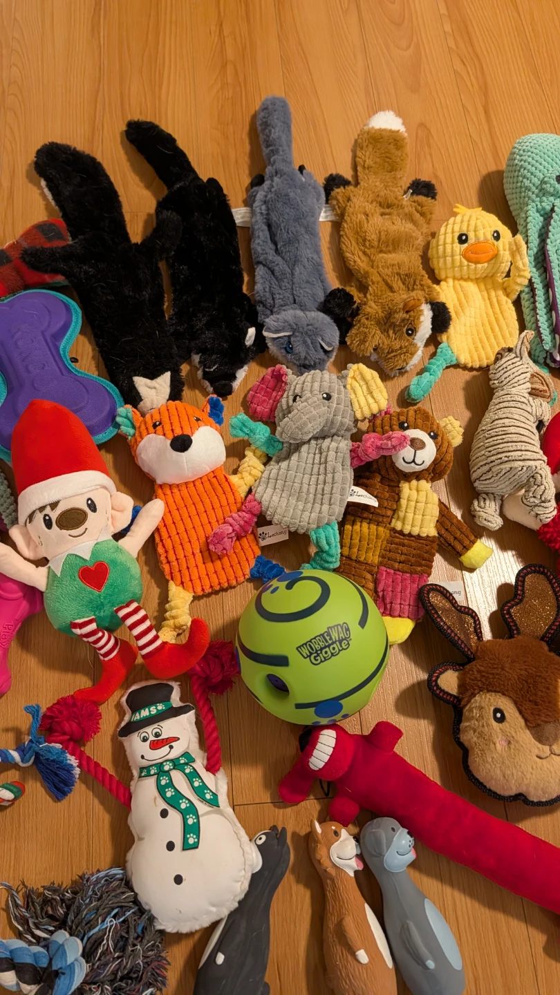 Large Collection of Assorted Dog Toys (Almost All Brand New) - photo 4