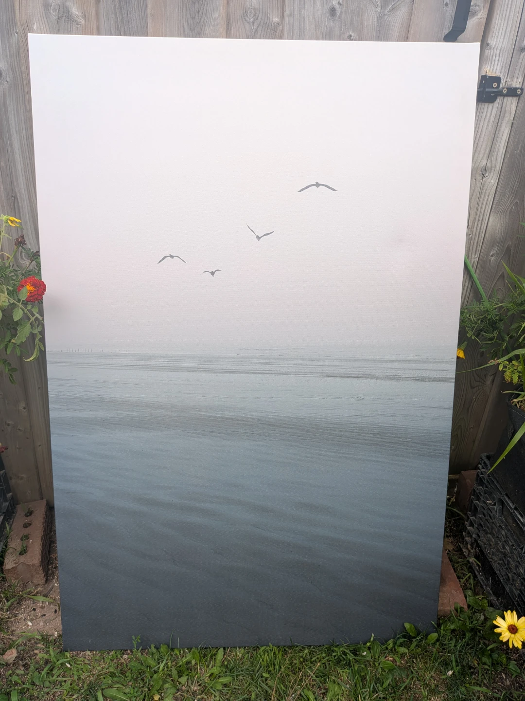 Canvas Print - Foggy Beach with Birds - photo 2