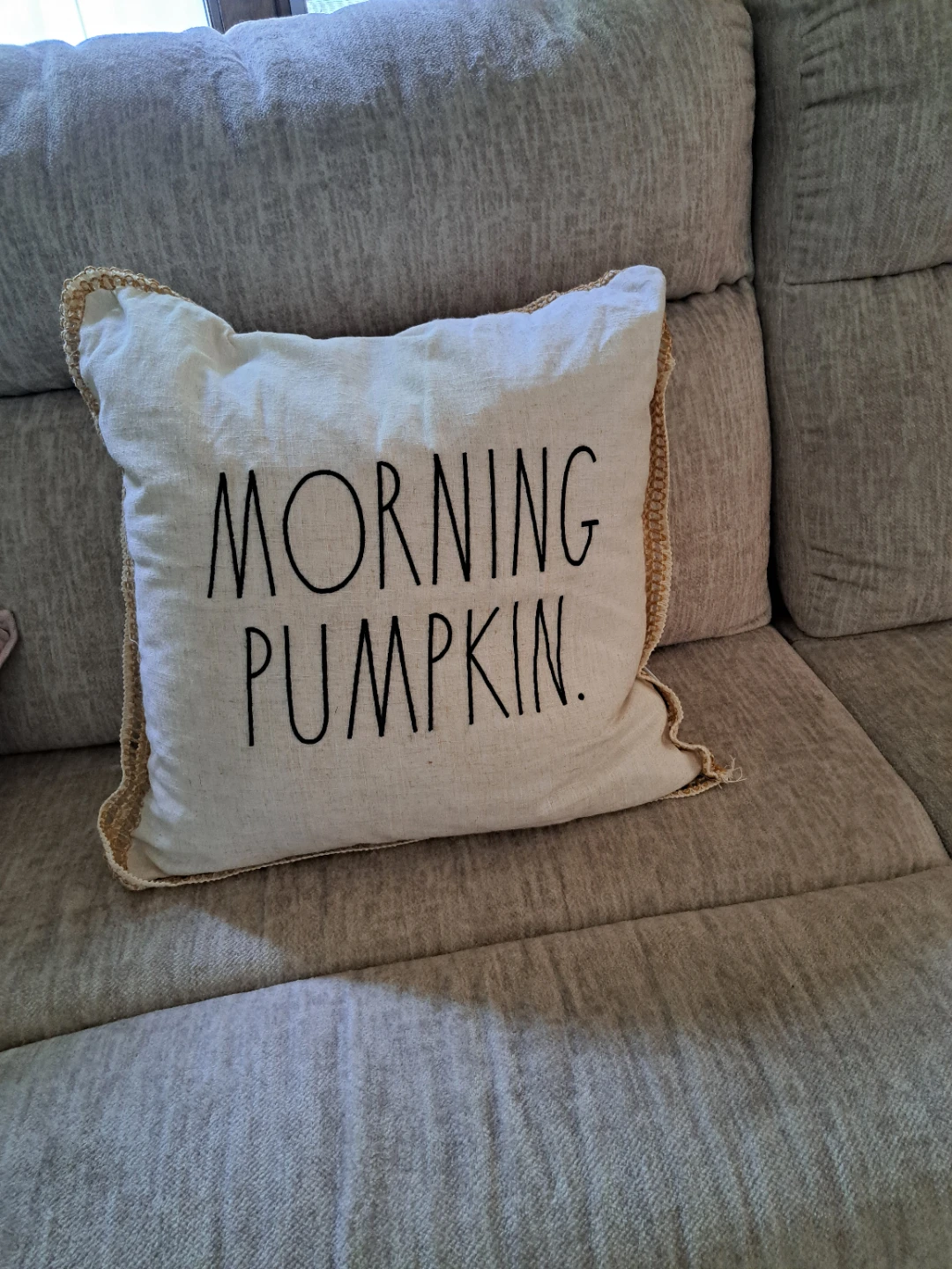 Morning Pumpkin Decorative Pillow