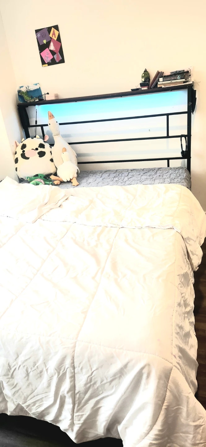 Bestier Queen Size Bed Frame with LED Headboard - photo 4