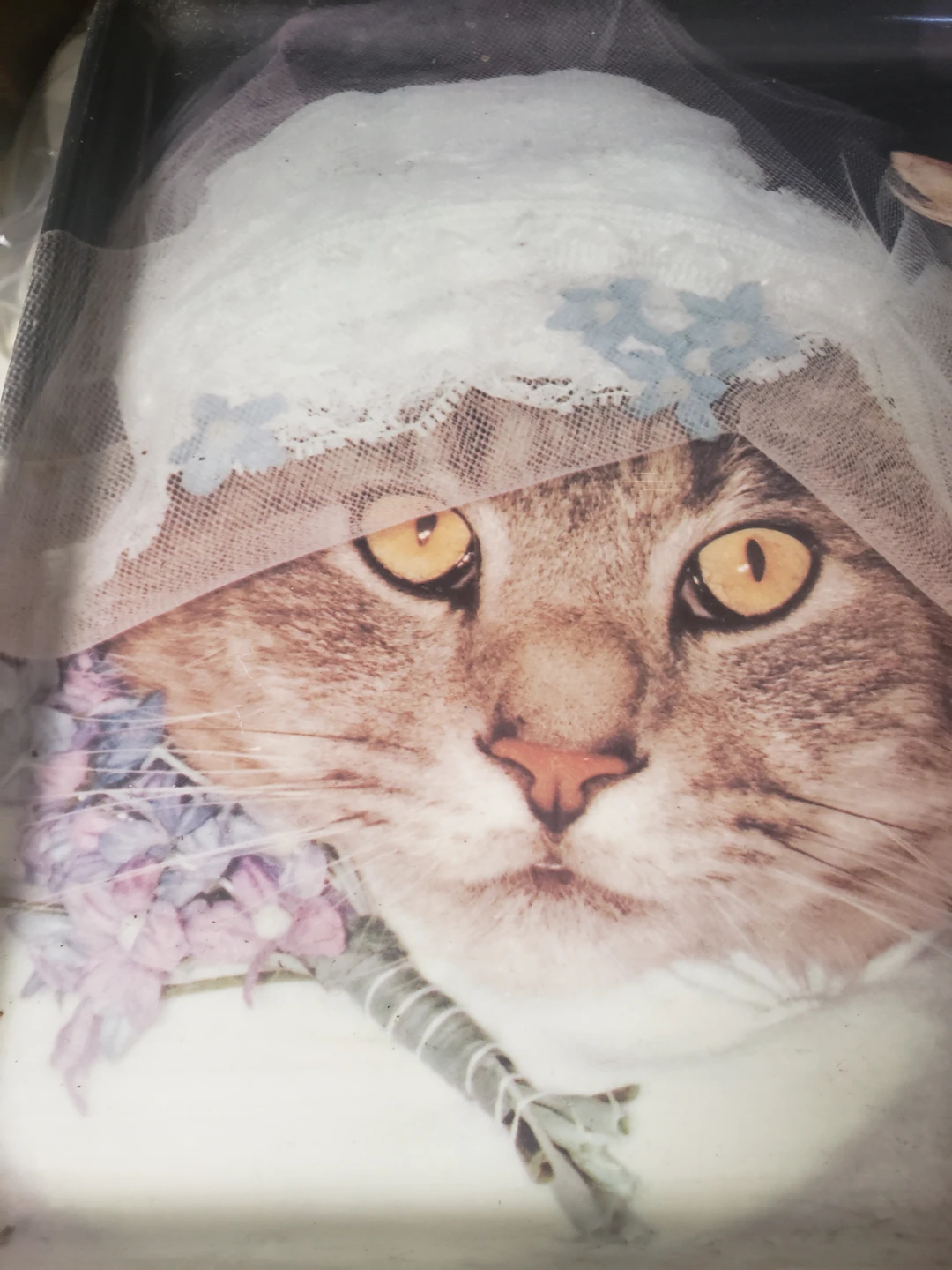 Keller Charles Wedding Cat Serving Tray - photo 3