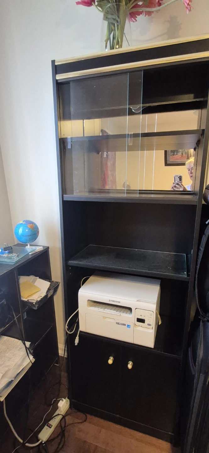 Tall black storage cabinet with glass doors