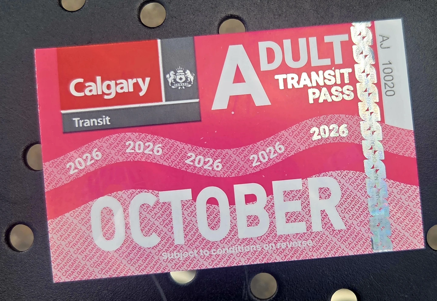 Adult Pass  - OCTOBER