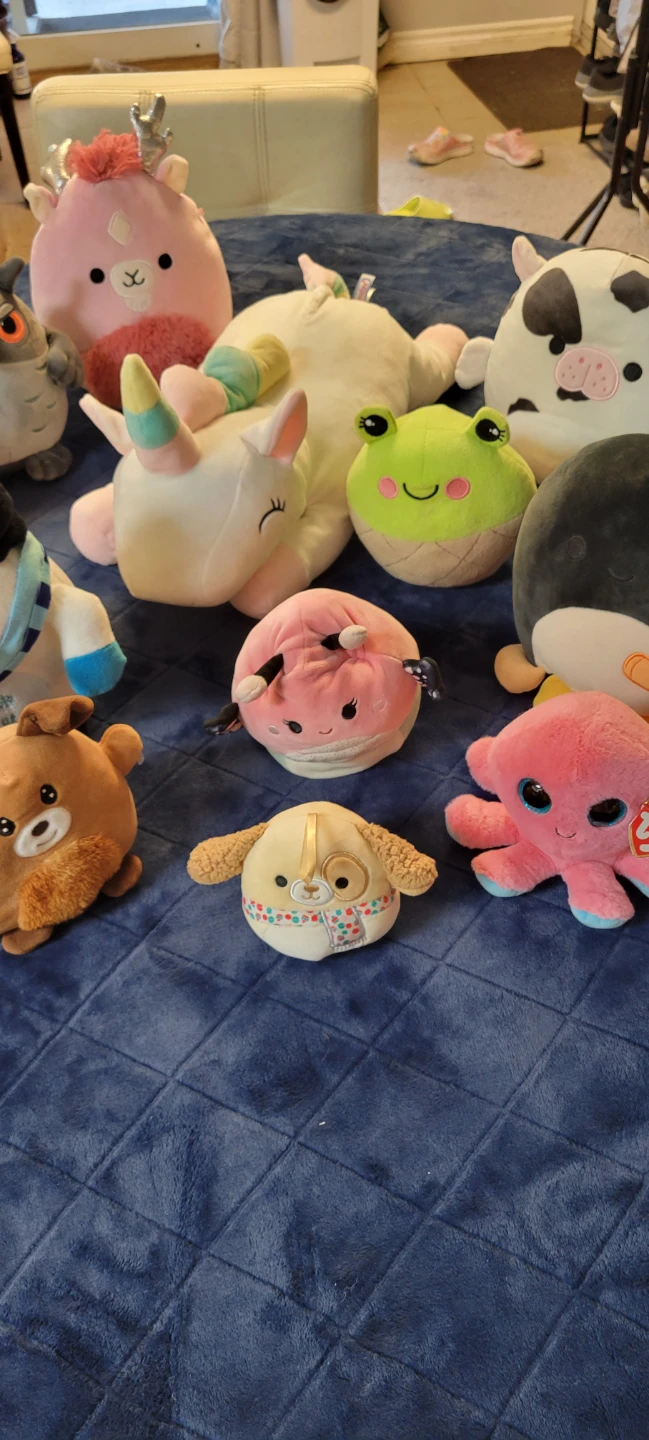 Assorted squishmallows  Plush Toys