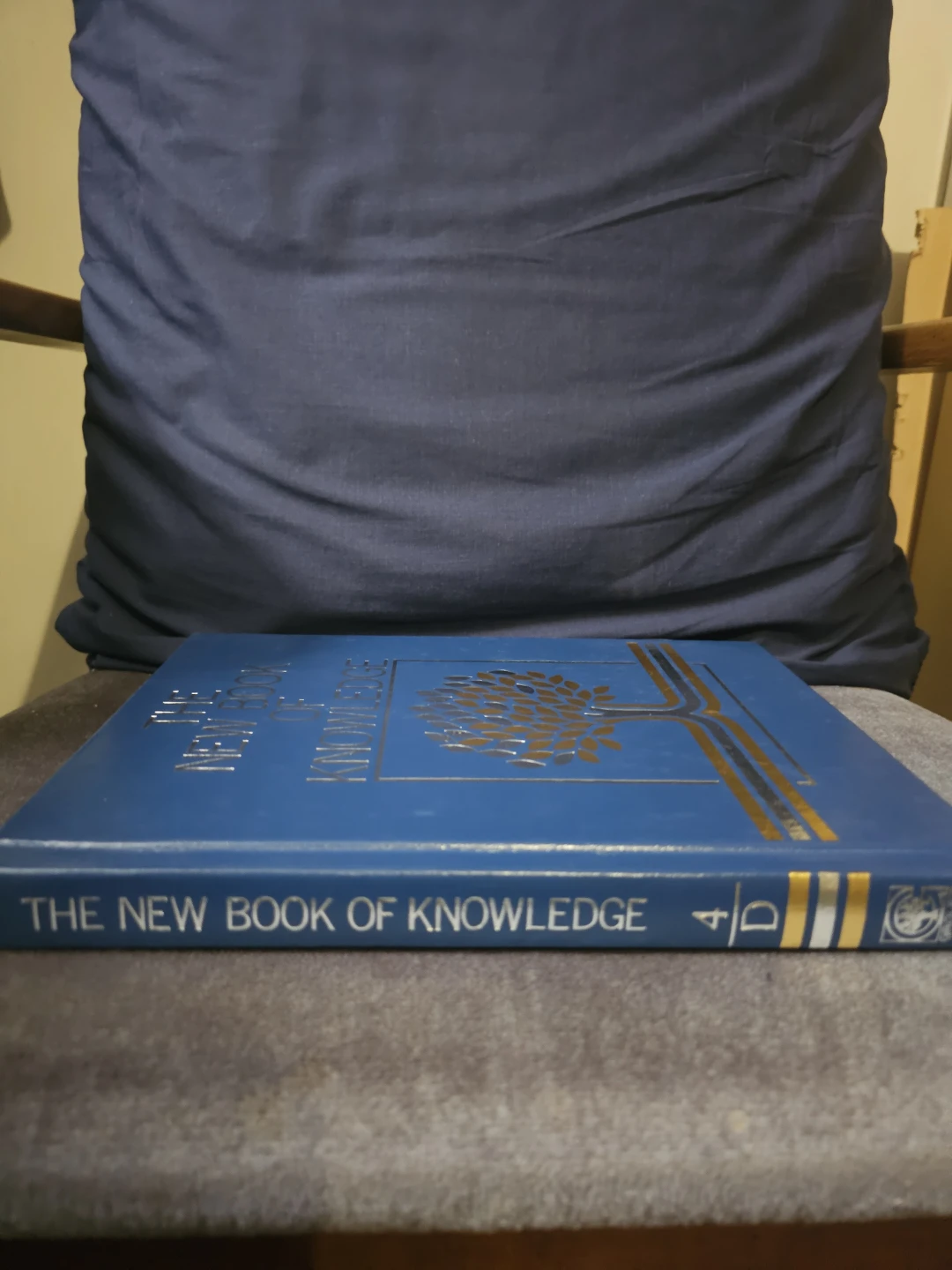 The New Book of Knowledge Volume D - photo 2