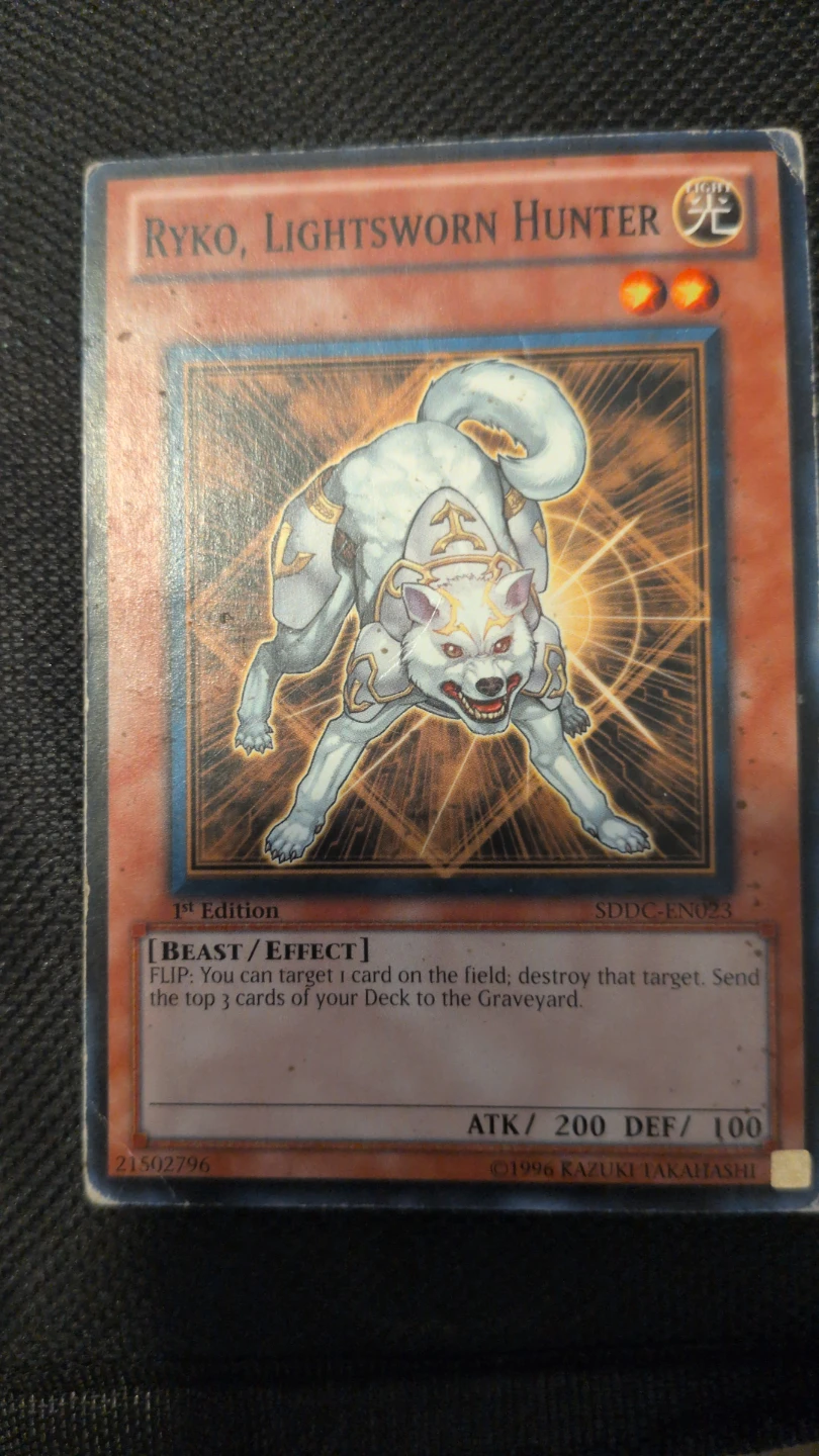 Ryko, Lightsworn Hunter 1st Edition Trading Card