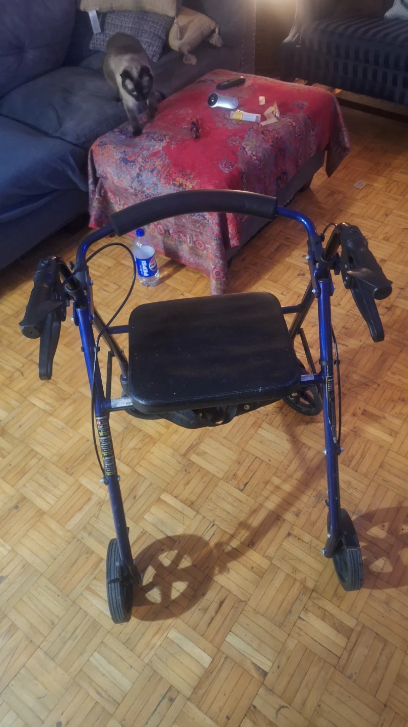 Blue Four-Wheel Rolling Walker with Seat - photo 2