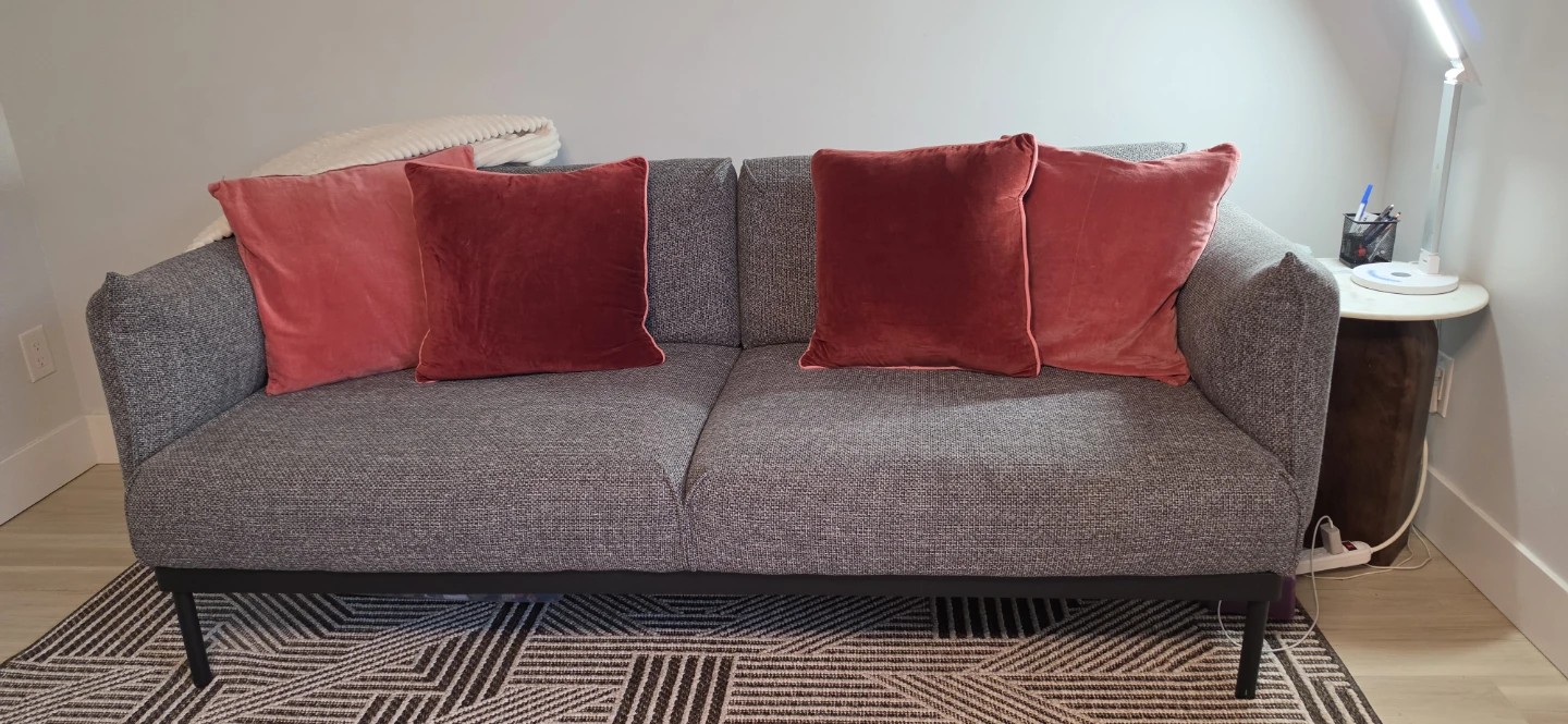 IKEA ÄPPLARYD Sofa in Lejde Gray/Black