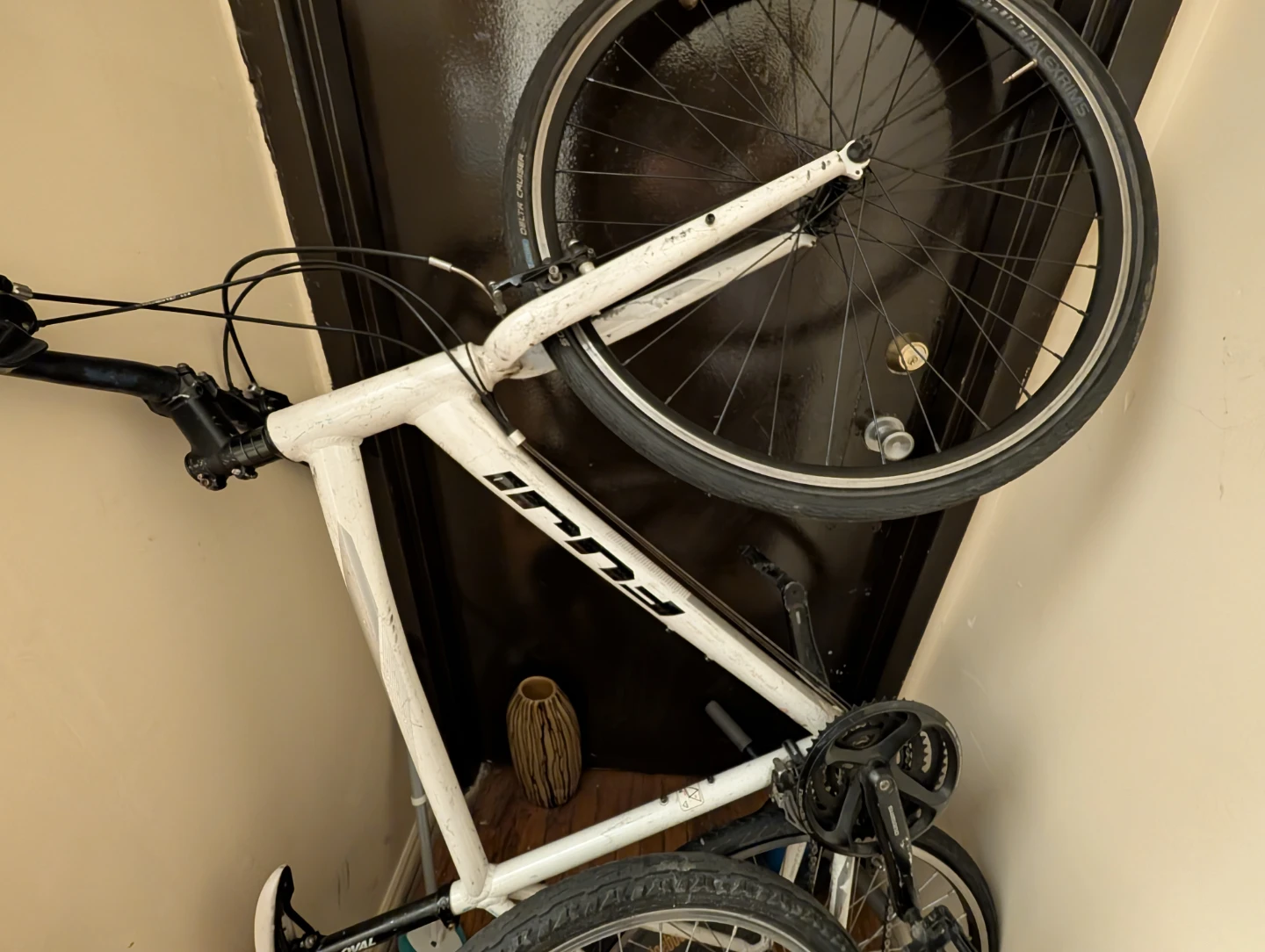 Fugi bike