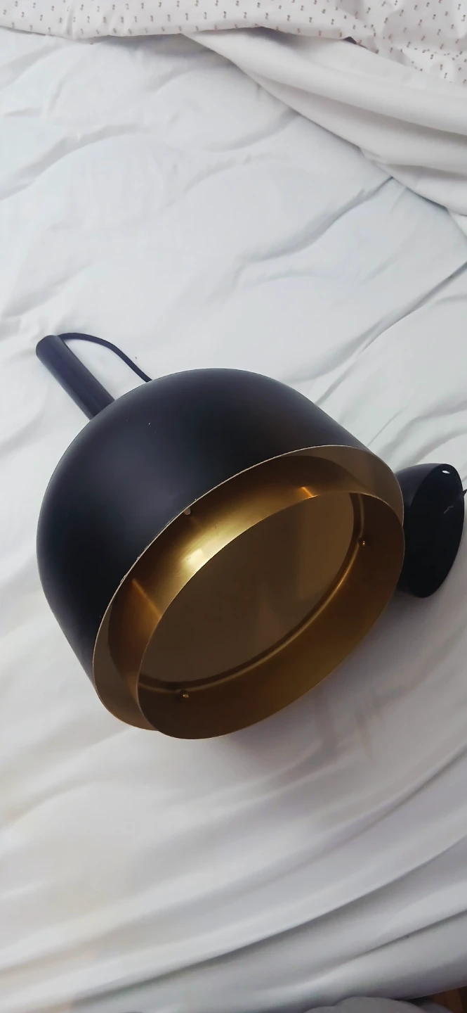 Modern Black and Gold Pendant Light