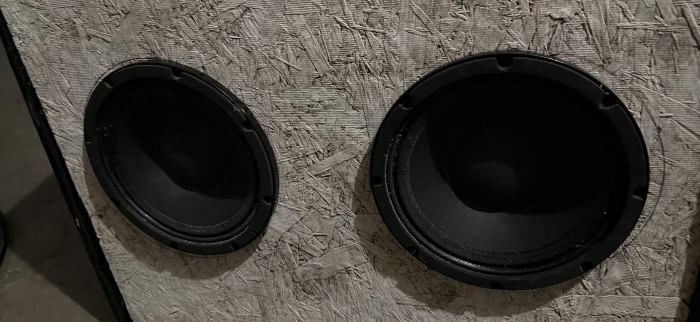 Custom Dual Speaker Cabinet with RCF L10-750Y Woofers - photo 2